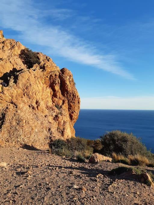 Appartement Centre Ville Saint-Raphael エクステリア 写真